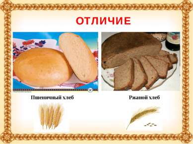 Пшеничный хлеб Ржаной хлеб ОТЛИЧИЕ