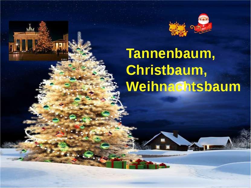 Tannenbaum, Christbaum, Weihnachtsbaum