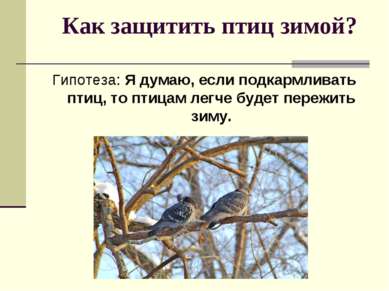 Как защитить птиц зимой? Гипотеза: Я думаю, если подкармливать птиц, то птица...