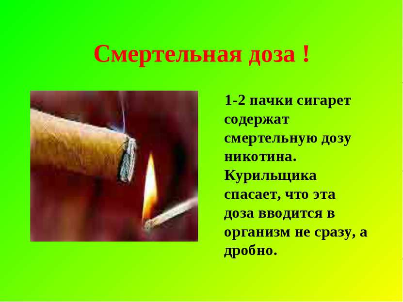 Смертельная доза ! 1-2 пачки сигарет содержат смертельную дозу никотина. Кури...