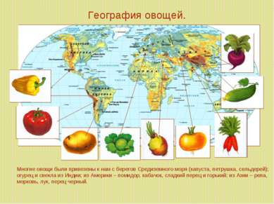 География овощей. Многие овощи были привезены к нам с берегов Средиземного мо...