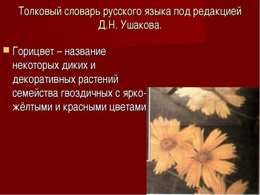 Толковый словарь русского языка под редакцией Д.Н. Ушакова. Горицвет – назван...