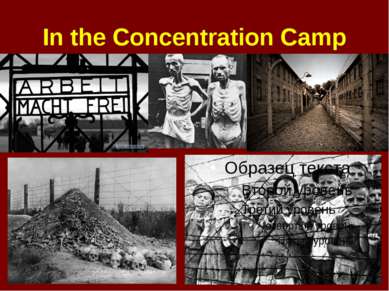 In the Concentration Camp