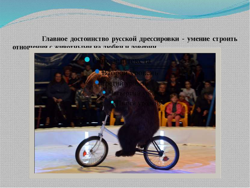 Главное достоинство русской дрессировки - умение строить отношения с животным...