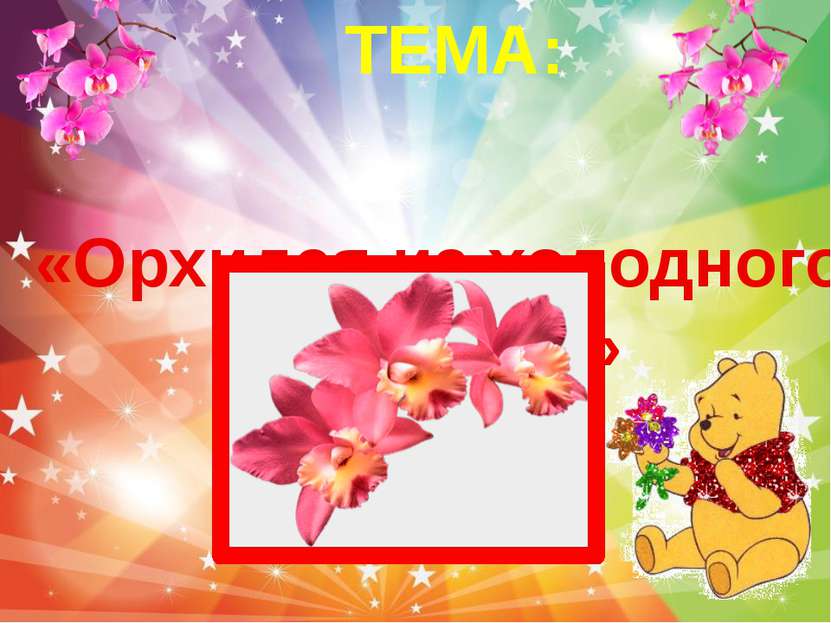 «Орхидея из холодного фарфора» ТЕМА:
