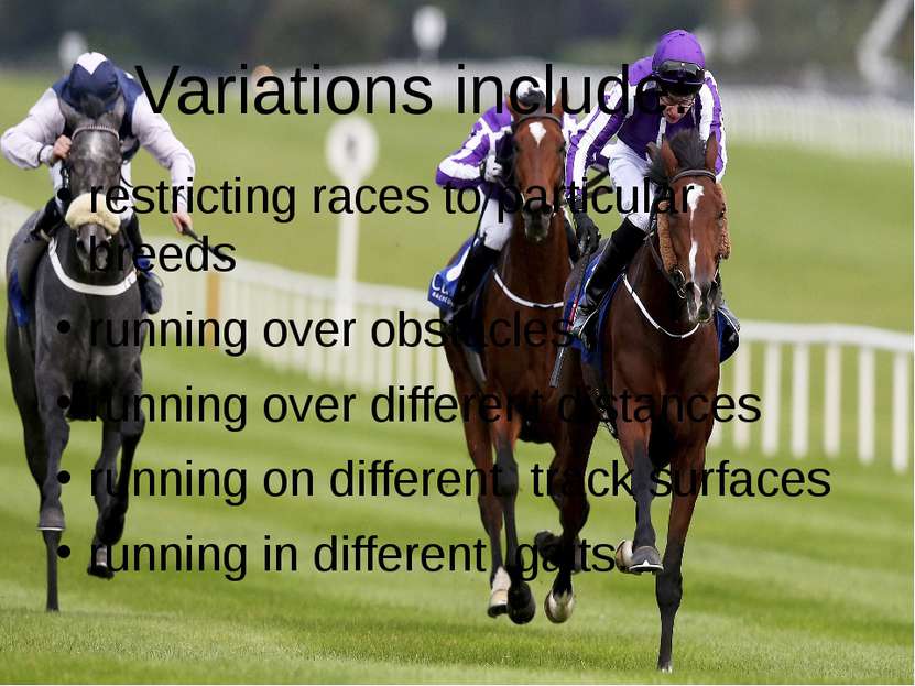 Variations include: restricting races to particular  breeds running over obst...