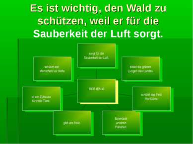 Es ist wichtig, den Wald zu schützen, weil er für die Sauberkeit der Luft sorgt.