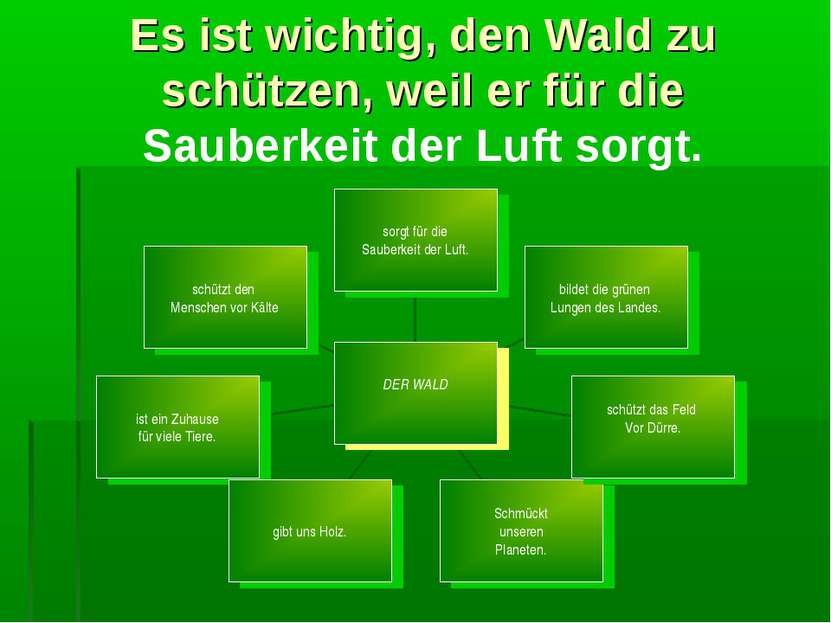 Es ist wichtig, den Wald zu schützen, weil er für die Sauberkeit der Luft sorgt.