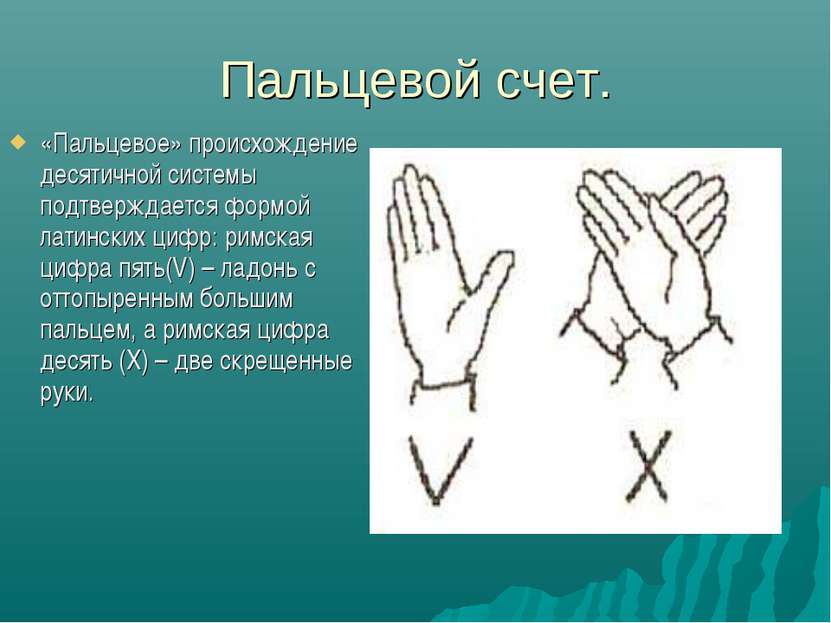 «Пальцевое» происхождение десятичной системы подтверждается формой латинских ...