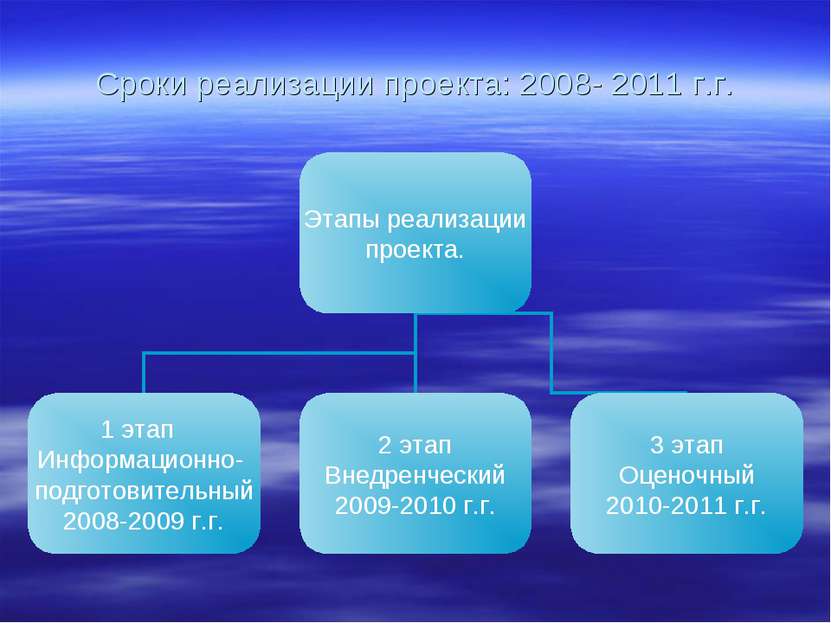 Сроки реализации проекта: 2008- 2011 г.г.