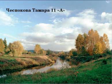 Чеснокова Тамара 11 «А»