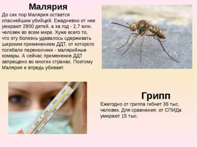 Малярия  До сих пор Малярия остается опаснейшим убийцей. Ежедневно от нее уми...