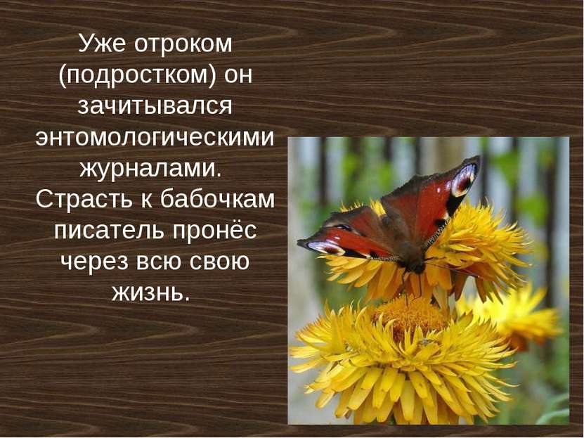 Уже отроком (подростком) он зачитывался энтомологическими журналами. Страсть ...