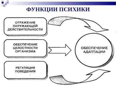 ФУНКЦИИ ПСИХИКИ