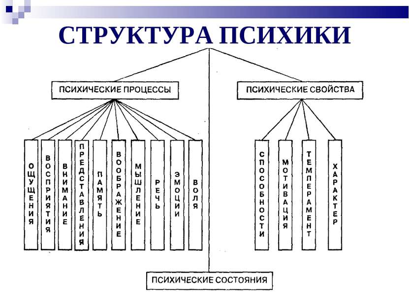 СТРУКТУРА ПСИХИКИ