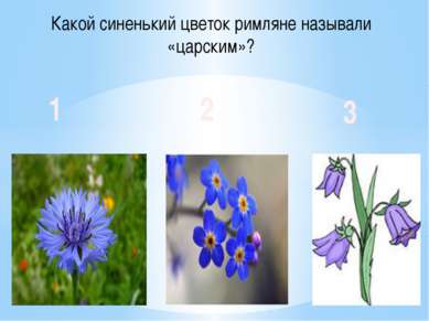 Какой синенький цветок римляне называли «царским»? 1 2 3
