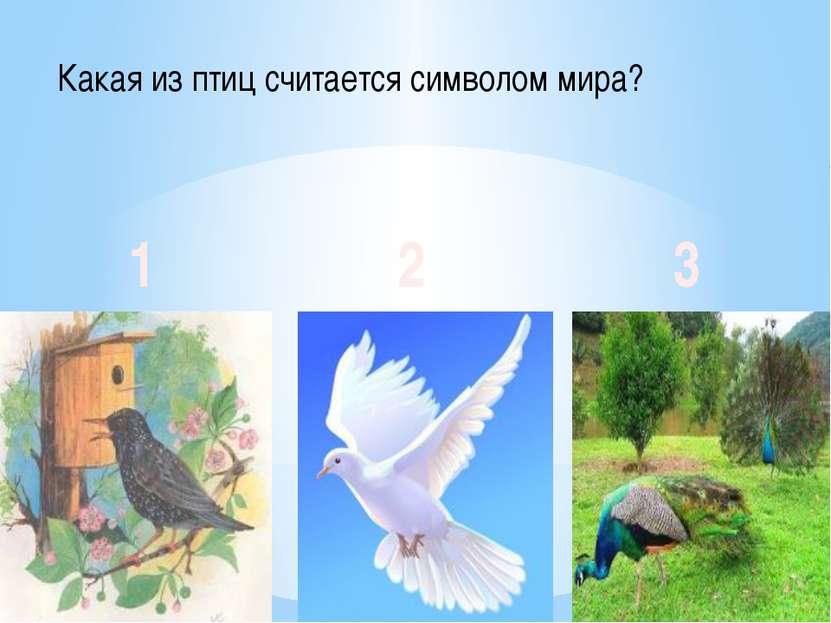 Какая из птиц считается символом мира? 1 2 3
