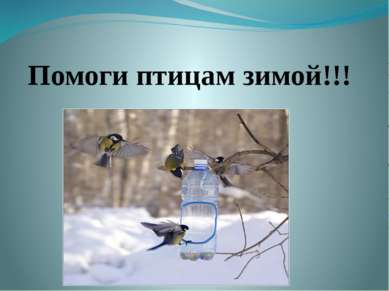 Помоги птицам зимой!!!
