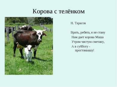 Корова с телёнком Н. Тарасов Врать, ребята, я не стану Нам дает корова Маша У...