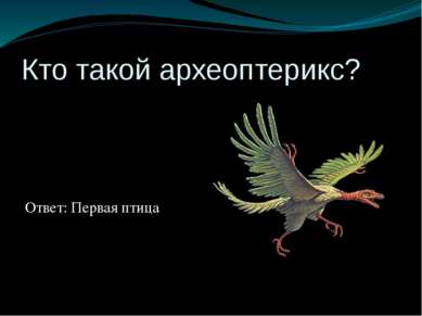 Кто такой археоптерикс? Ответ: Первая птица