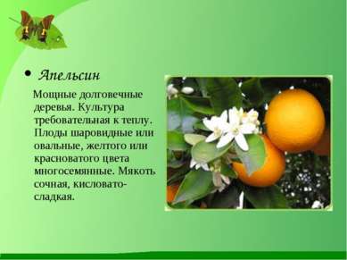 Апельсин Мощные долговечные деревья. Культура требовательная к теплу. Плоды ш...