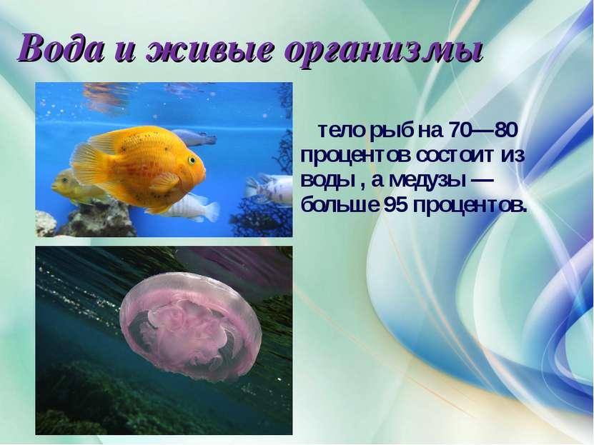 Вода и живые организмы тело рыб на 70—80 процентов состоит из воды , а медузы...