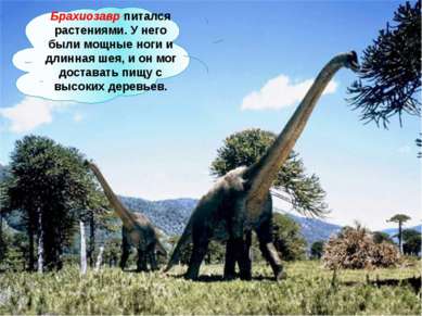 Брахиозавр питался растениями. У него были мощные ноги и длинная шея, и он мо...