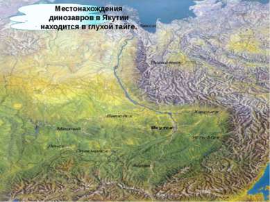 Местонахождения динозавров в Якутии находится в глухой тайге.