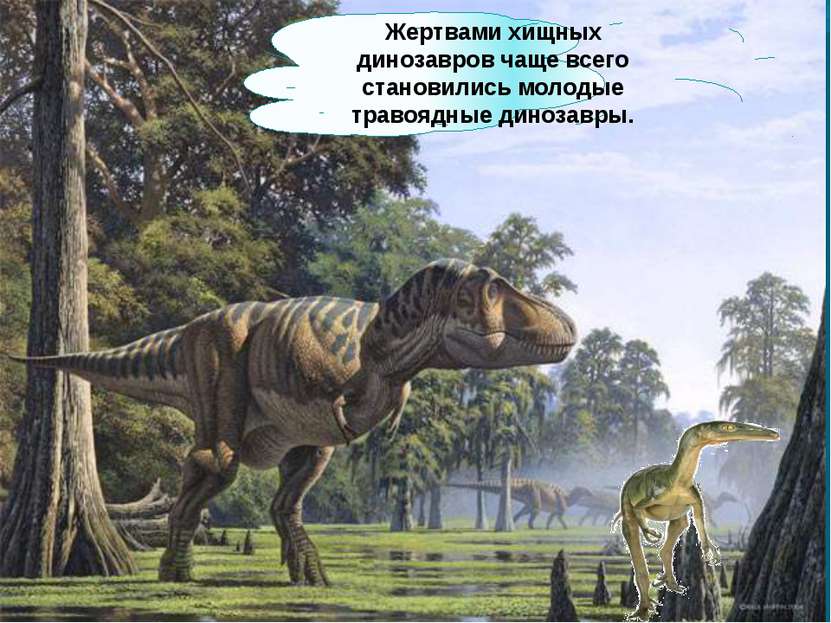 Жертвами хищных динозавров чаще всего становились молодые травоядные динозавры.