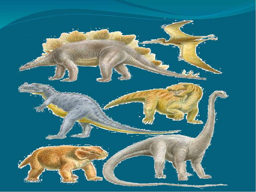 Когда жили динозавры видеоурок. Когда жили динозавры. Динозавры появились. СТО жили динозавры. Когда жили динозавры на земле.