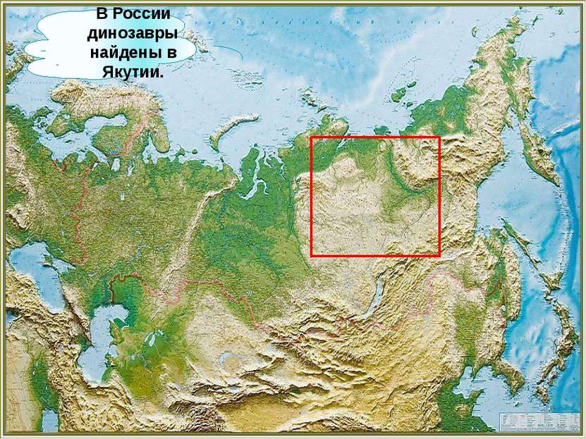В России динозавры найдены в Якутии.