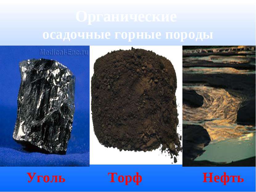 Органические осадочные горные породы Уголь Торф Нефть