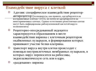 Взамодействие вируса с клеткой Адгезия: специфическое взаимодействие рецептор...