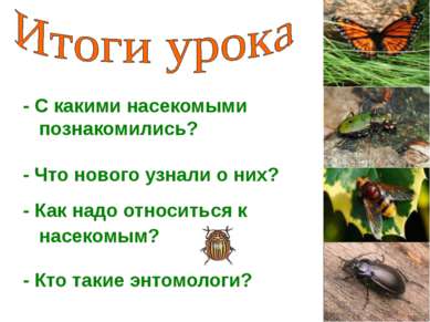 - С какими насекомыми познакомились? - Что нового узнали о них? - Как надо от...