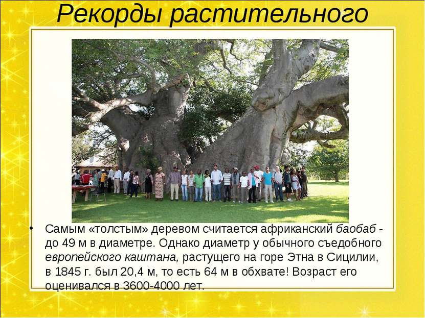 Рекорды растительного мира. Самым «толстым» деревом считается африканский бао...