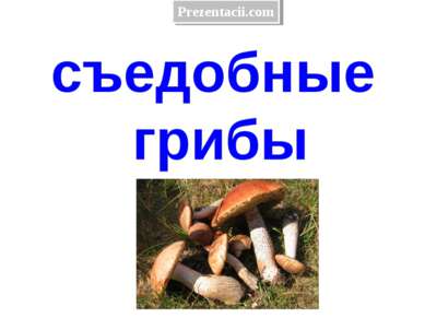 съедобные грибы 