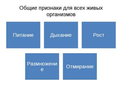 Общие признаки для всех живых организмов Питание Дыхание Рост Размножение Отм...