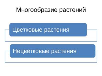 Многообразие растений Цветковые растения Нецветковые растения