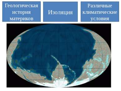 Геологическая история материков Изоляция Различные климатические условия