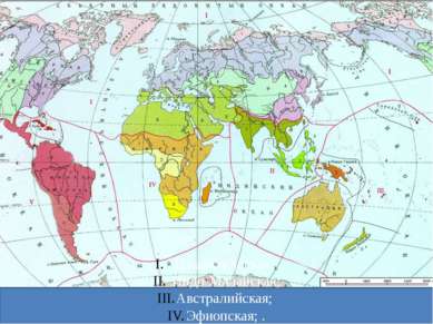 Голарктическая; Индо-Малайская; Австралийская; Эфиопская; . Неотропическая; А...