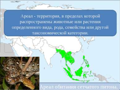 Ареал - территория, в пределах которой распространены животные или растения о...