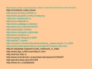 http://images.yandex.ru/yandsearch?p=1&text=%D0%BD%D0%B0%D1%81%D0%B5% http://...