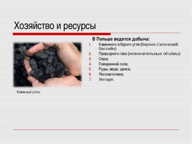 Хозяйство и ресурсы В Польше ведется добыча: Каменного и бурого угля (Верхне-...