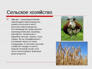 Сельское хозяйство Тип с/х – среднеевропейский. Преобладает животноводство, р...