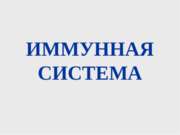 Иммунная система