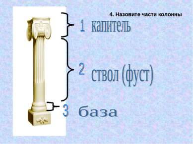 4. Назовите части колонны