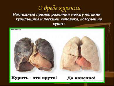 О вреде курения Наглядный пример различия между легкими курильщика и легкими ...