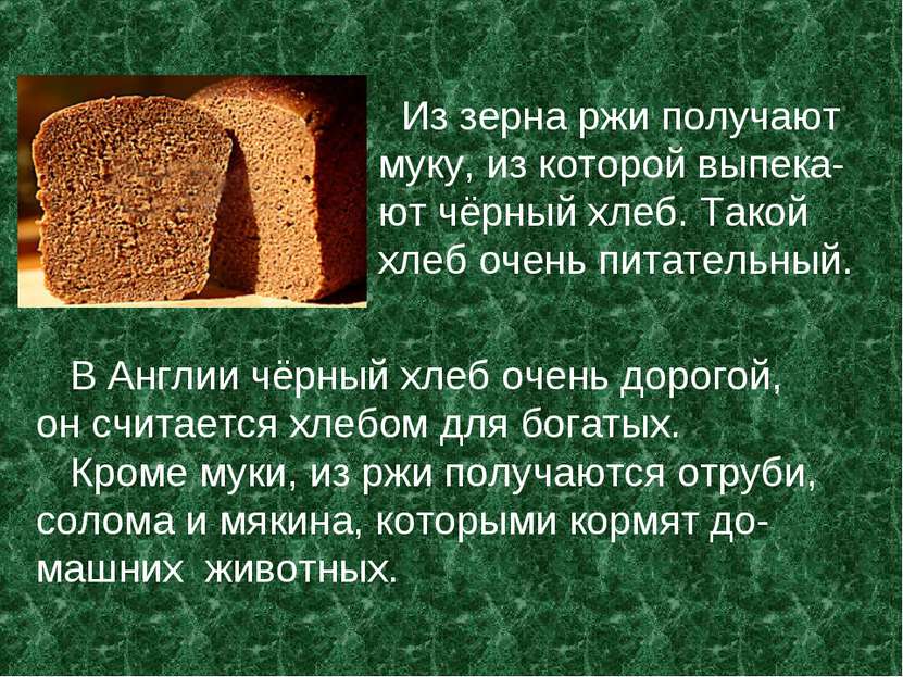 Из зерна ржи получают муку, из которой выпека- ют чёрный хлеб. Такой хлеб оче...