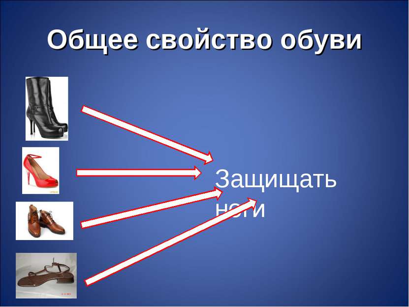 Общее свойство обуви Защищать ноги