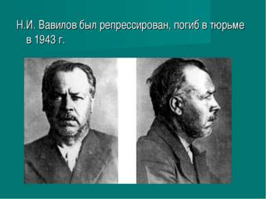 Н.И. Вавилов был репрессирован, погиб в тюрьме в 1943 г.